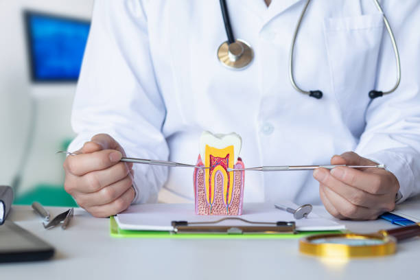 Best Orthodontic Emergency Dentist in Hamilton Square, NJ